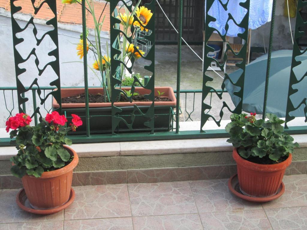 Charming With Balcony Maison d'hôtes Split